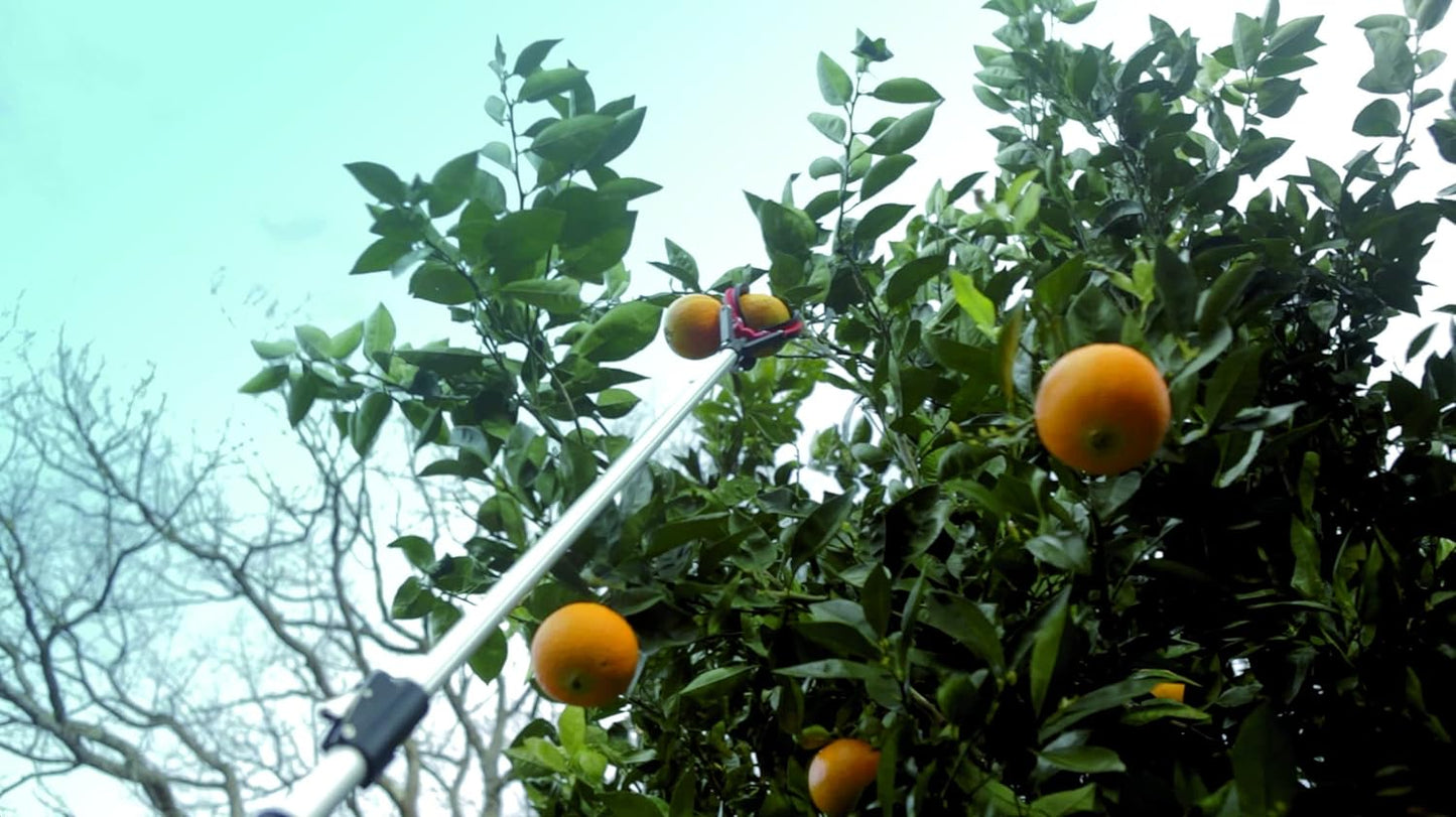 Recogefrutas 3 Pinzas con Mango Telescópico Extensible de 1,2-3 Metros