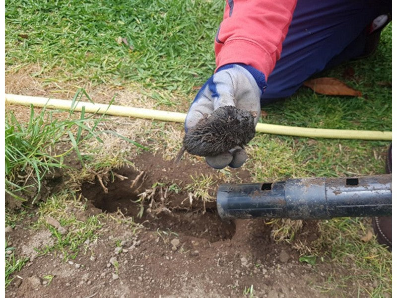 Trampa Cepo para Topos Modelo Brody