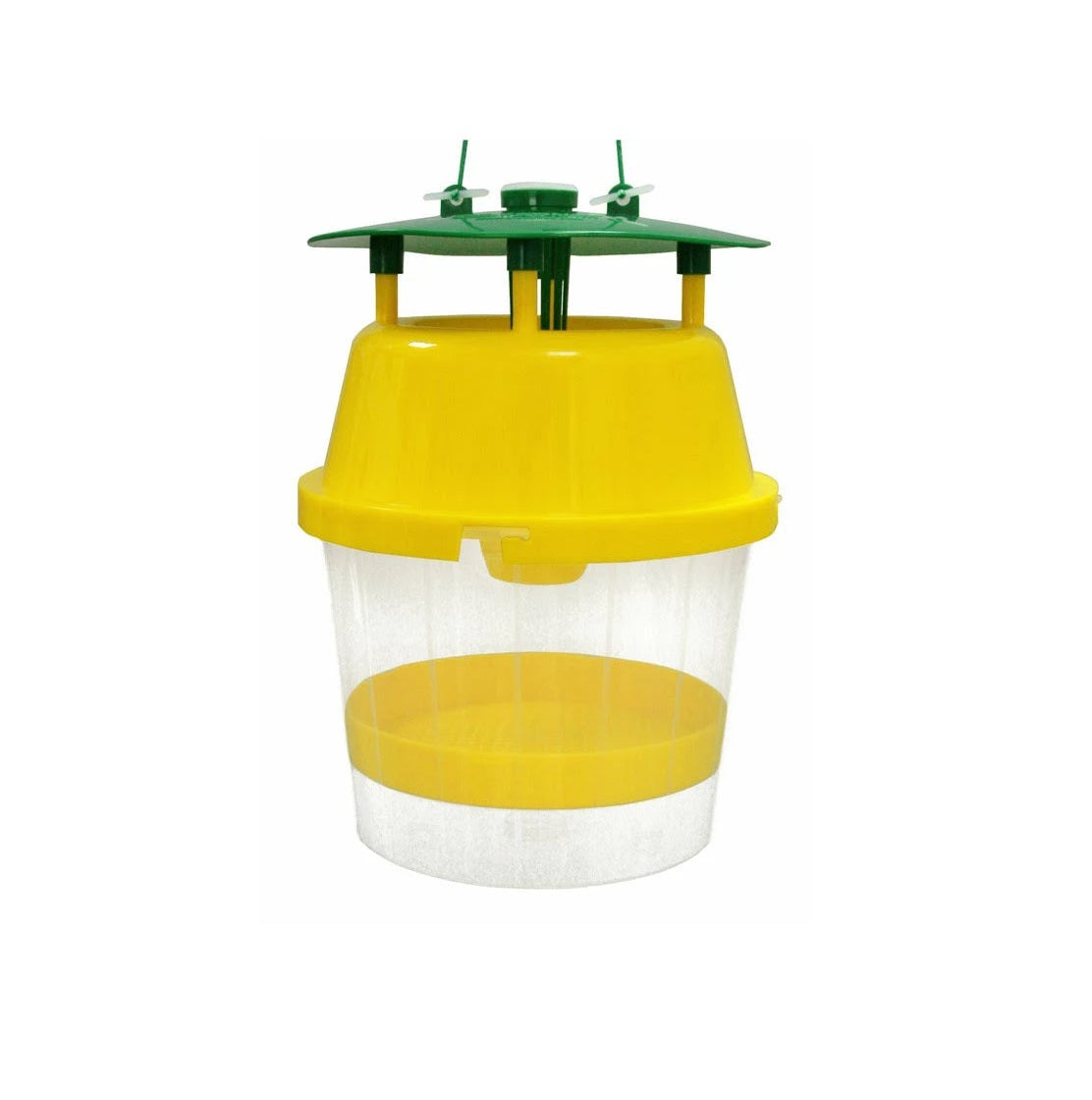 Trampa para Avispas Velutinas