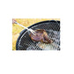 Tenedor para Pinchar Carne - Tenedor de Cocina Modelo Intense
